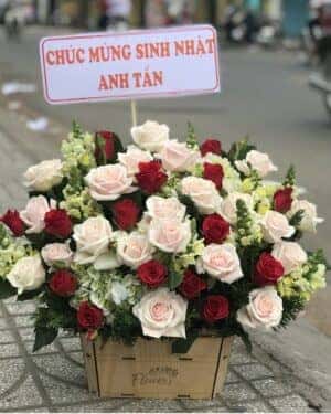 Hoa tươi flower 10